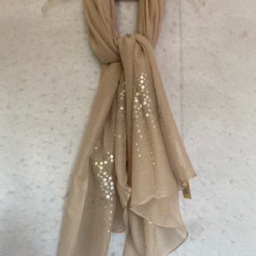 Semi Sheer Lightweight Silver Sequin Embellished Shawl - Picture 6 of 12